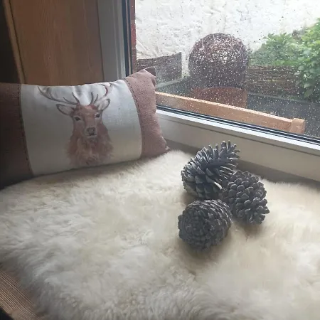 Harzglanz Fewo's Kuschelbude Daire